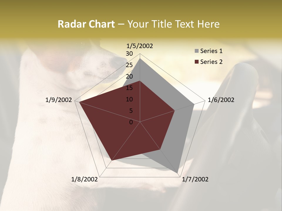 Jack Standing Terrier PowerPoint Template