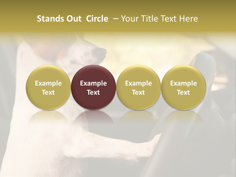 Jack Standing Terrier PowerPoint Template