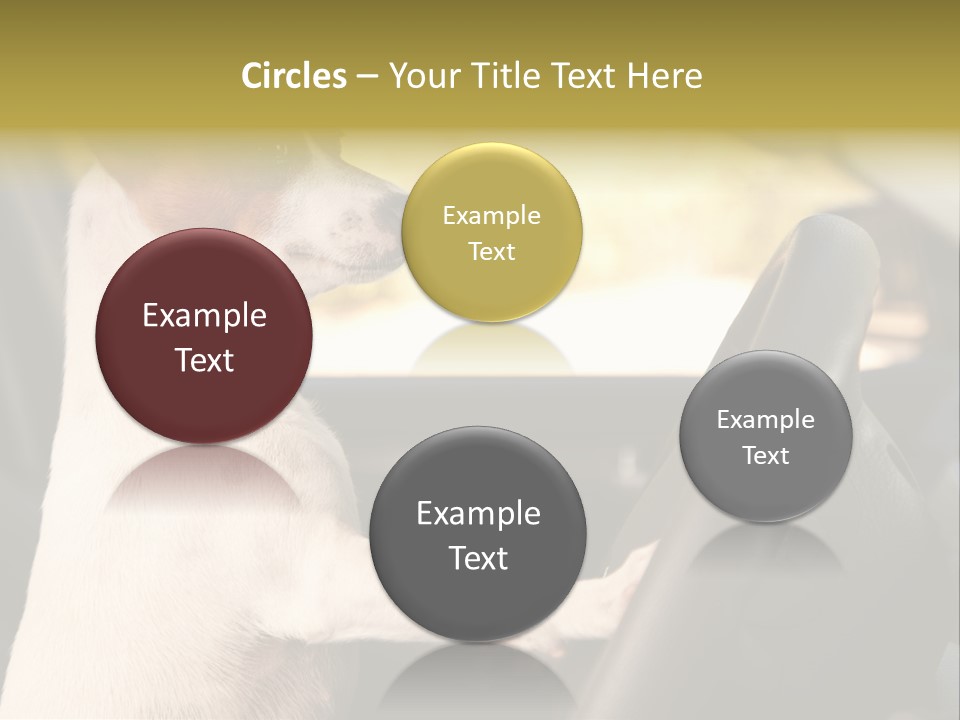 Jack Standing Terrier PowerPoint Template