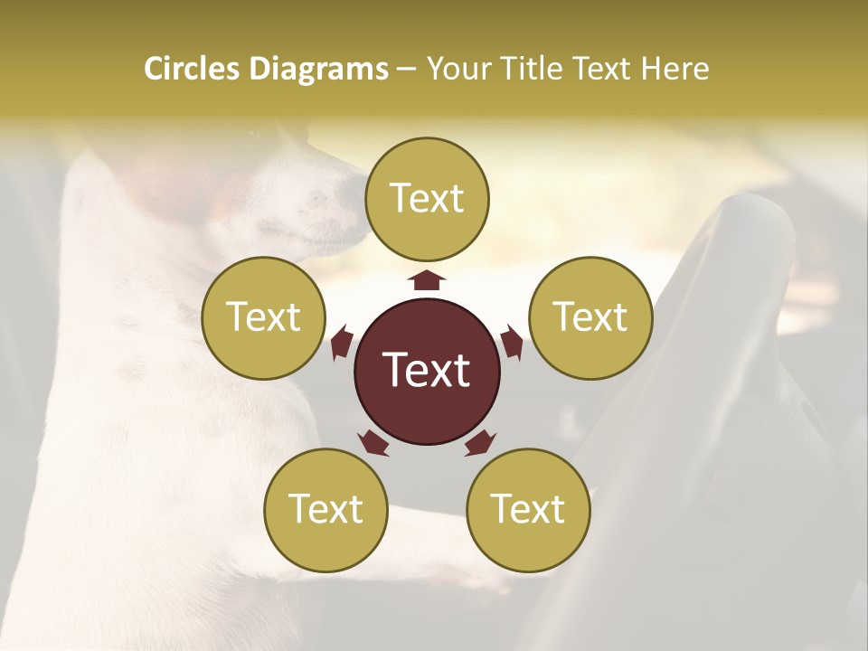 Jack Standing Terrier PowerPoint Template