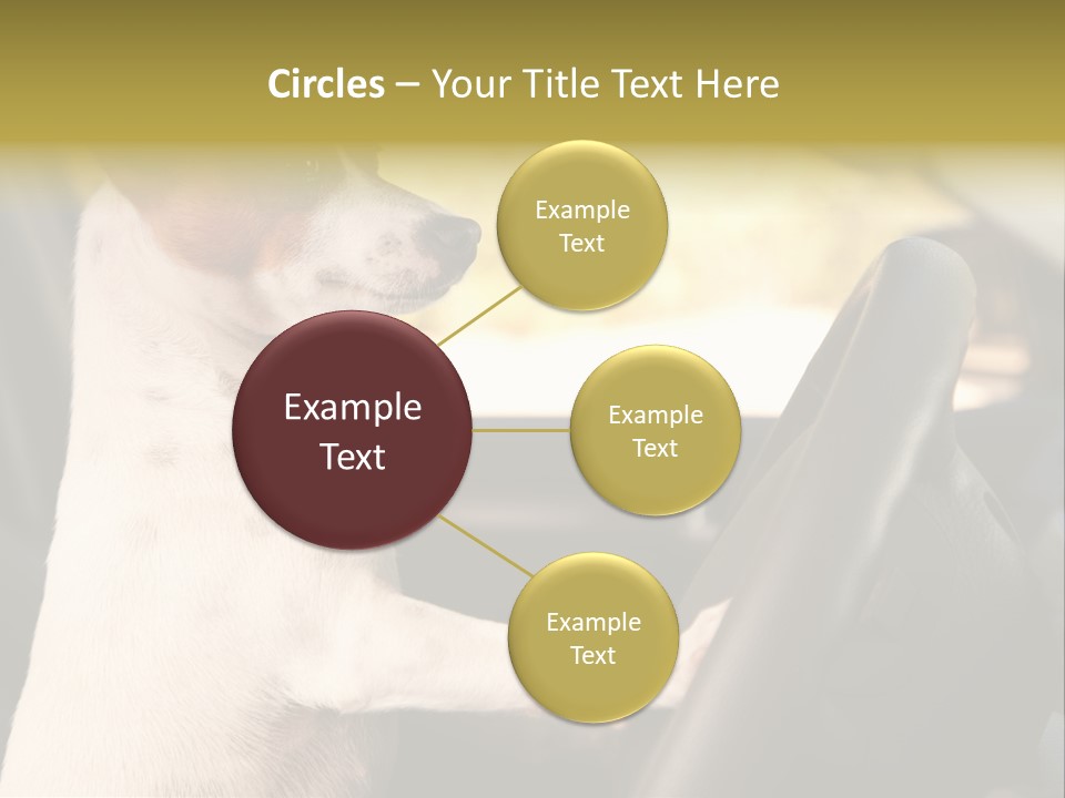 Jack Standing Terrier PowerPoint Template