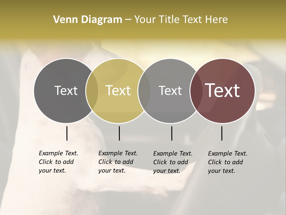 Jack Standing Terrier PowerPoint Template