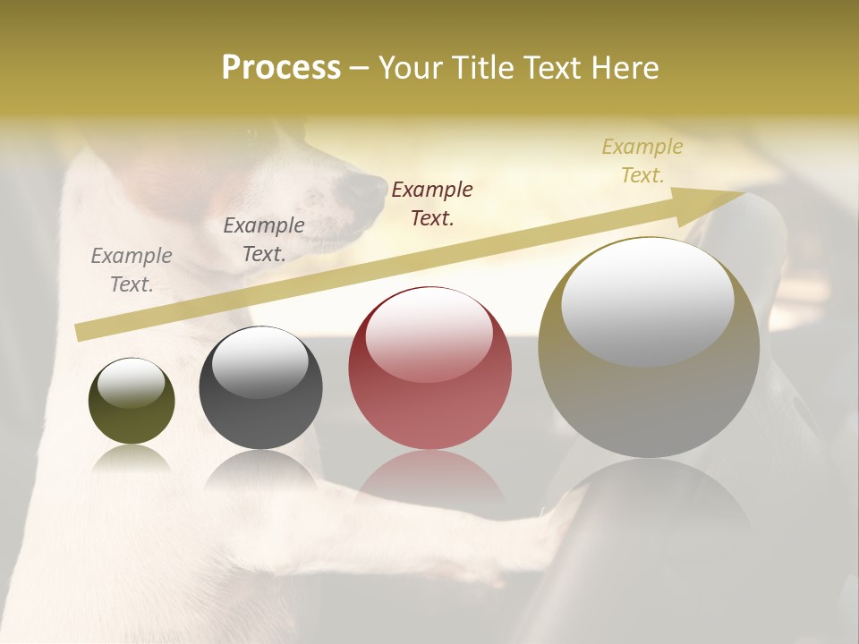 Jack Standing Terrier PowerPoint Template