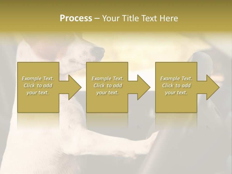 Jack Standing Terrier PowerPoint Template