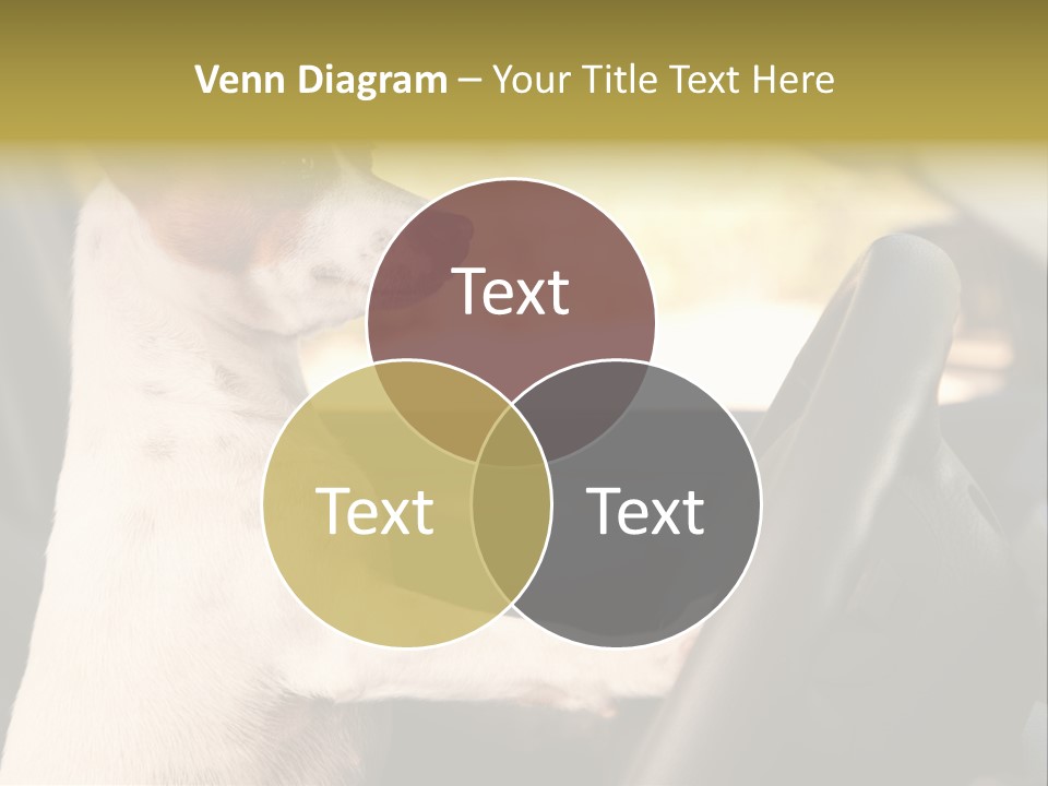 Jack Standing Terrier PowerPoint Template