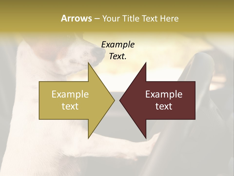 Jack Standing Terrier PowerPoint Template