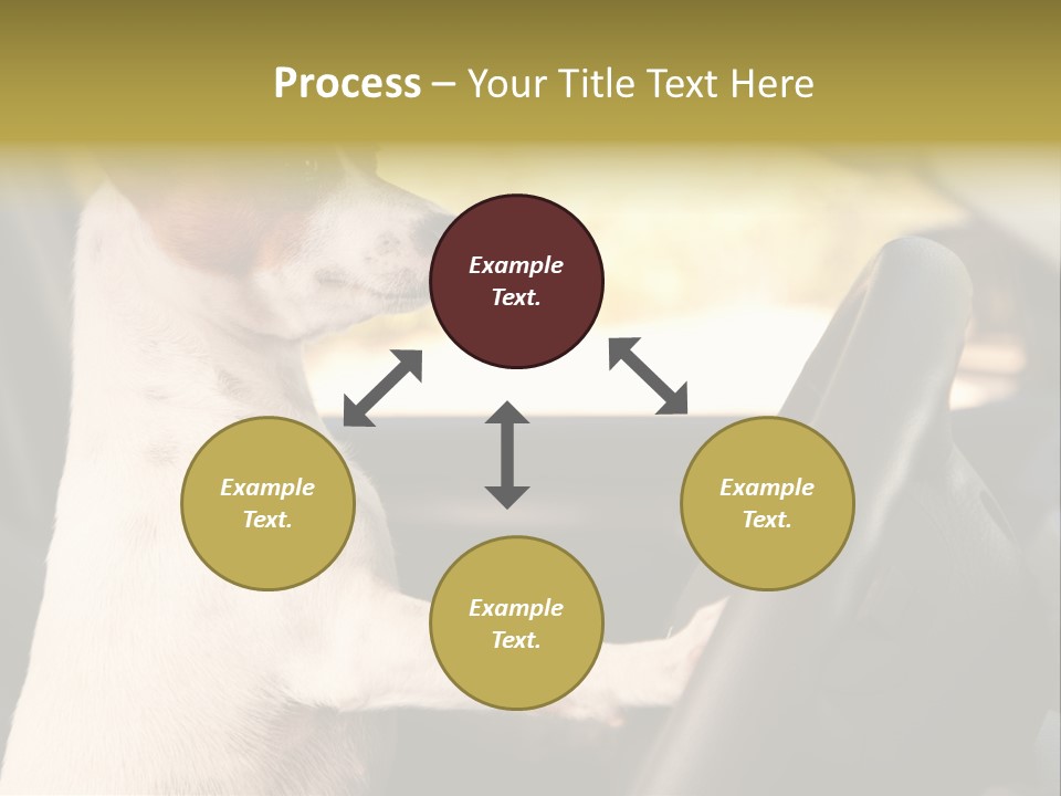 Jack Standing Terrier PowerPoint Template