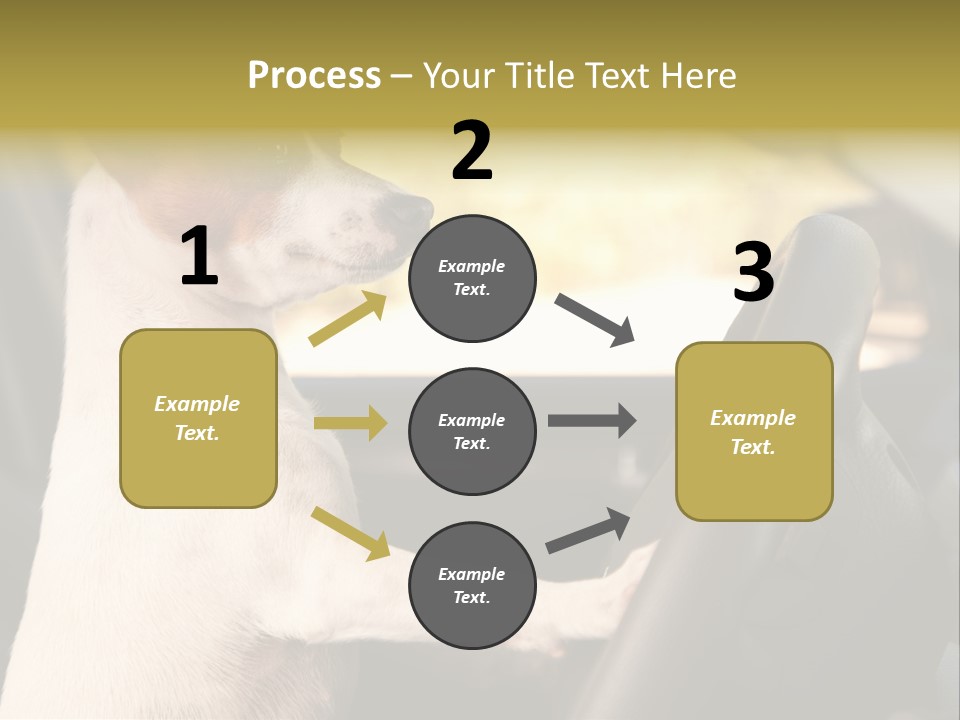 Jack Standing Terrier PowerPoint Template