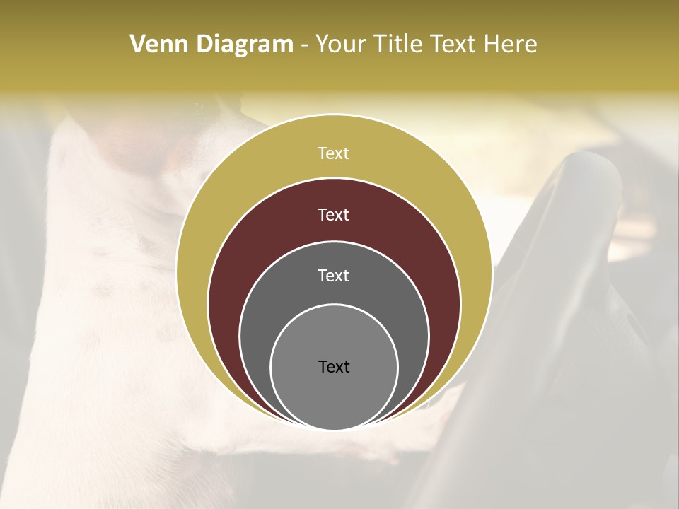 Jack Standing Terrier PowerPoint Template