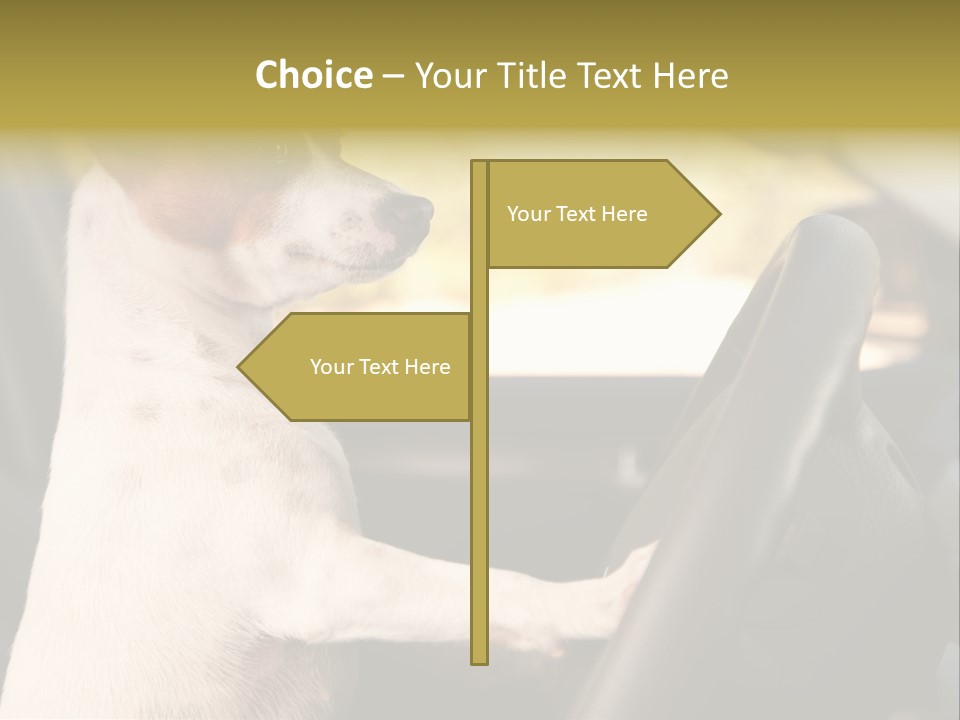 Jack Standing Terrier PowerPoint Template