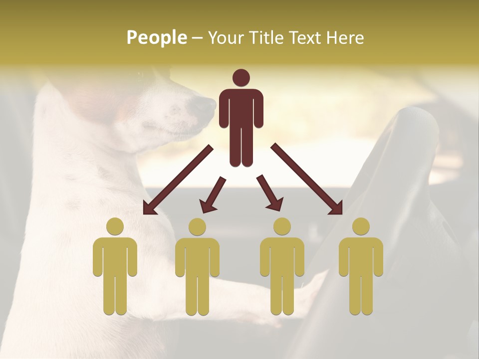 Jack Standing Terrier PowerPoint Template