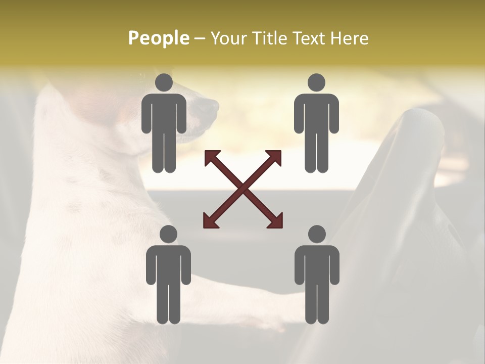 Jack Standing Terrier PowerPoint Template