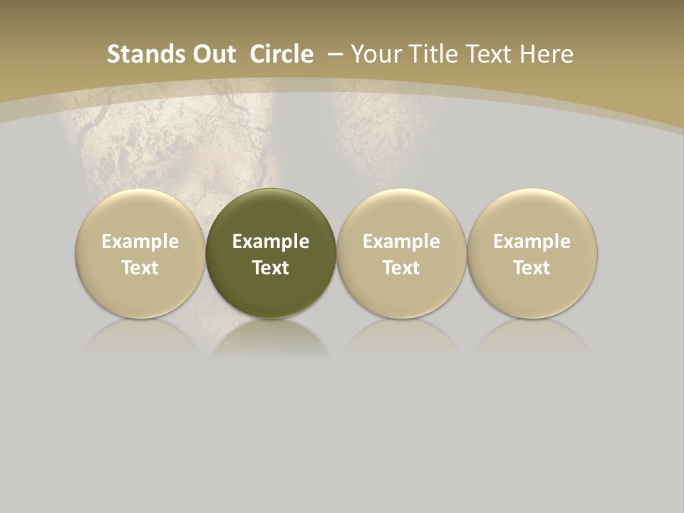 Portrait Textured Isolated PowerPoint Template