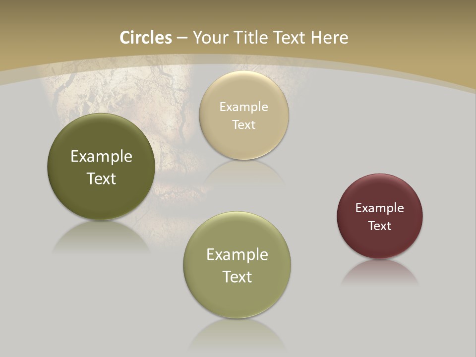 Portrait Textured Isolated PowerPoint Template