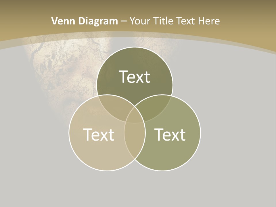 Portrait Textured Isolated PowerPoint Template