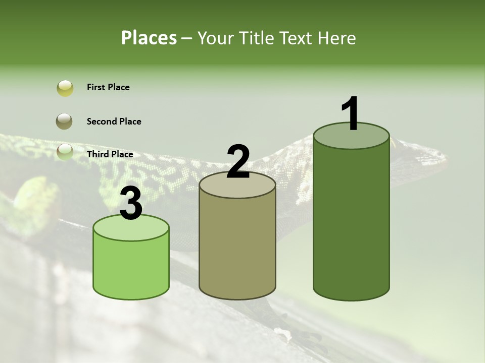 Wild Pet Pattern PowerPoint Template