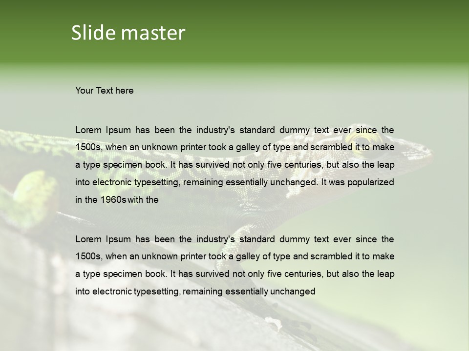 Wild Pet Pattern PowerPoint Template