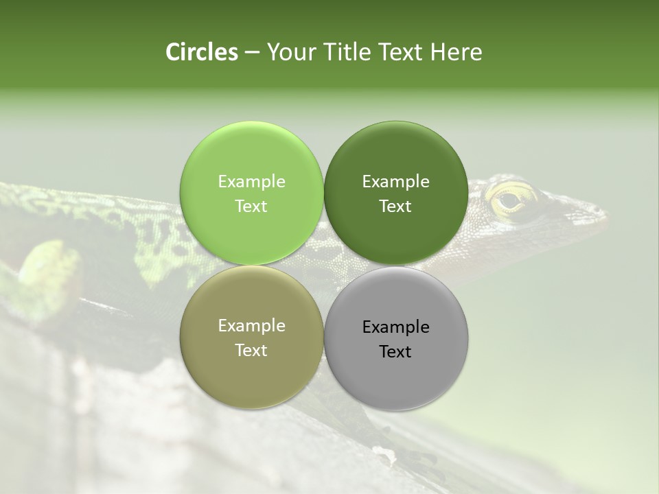 Wild Pet Pattern PowerPoint Template