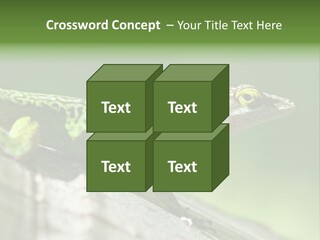 Wild Pet Pattern PowerPoint Template