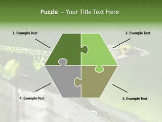 Wild Pet Pattern PowerPoint Template