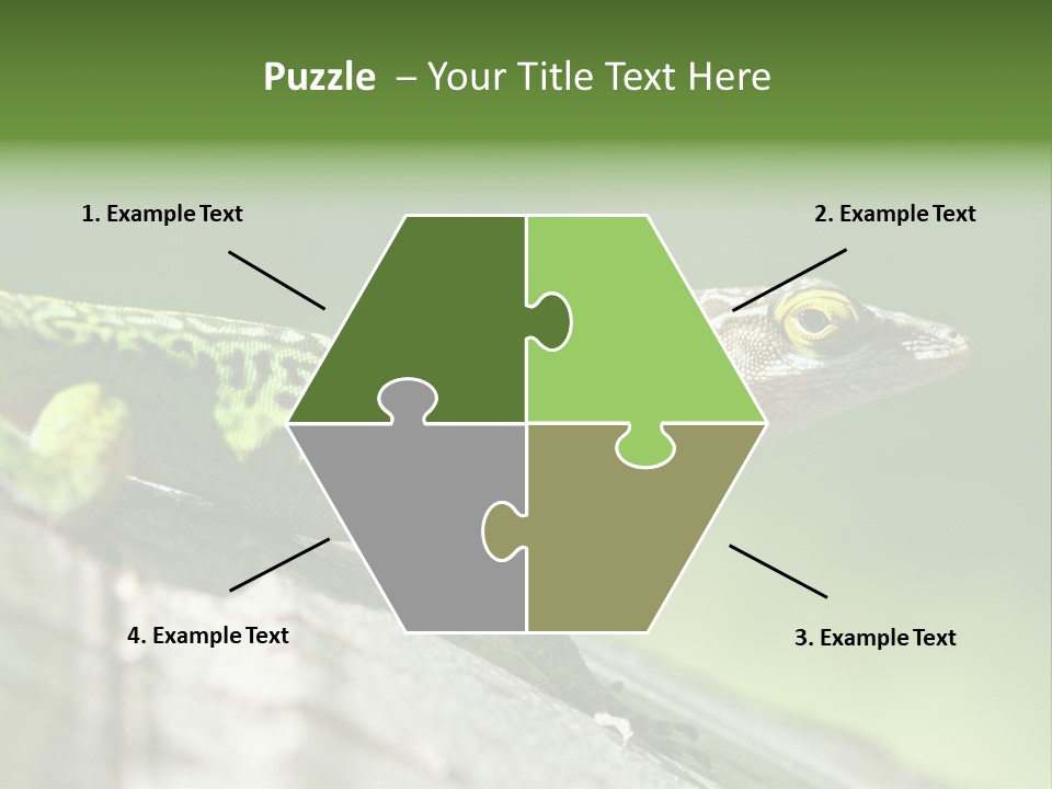 Wild Pet Pattern PowerPoint Template