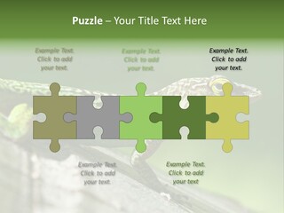 Wild Pet Pattern PowerPoint Template