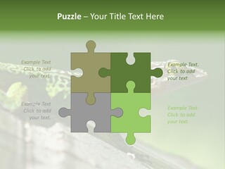 Wild Pet Pattern PowerPoint Template