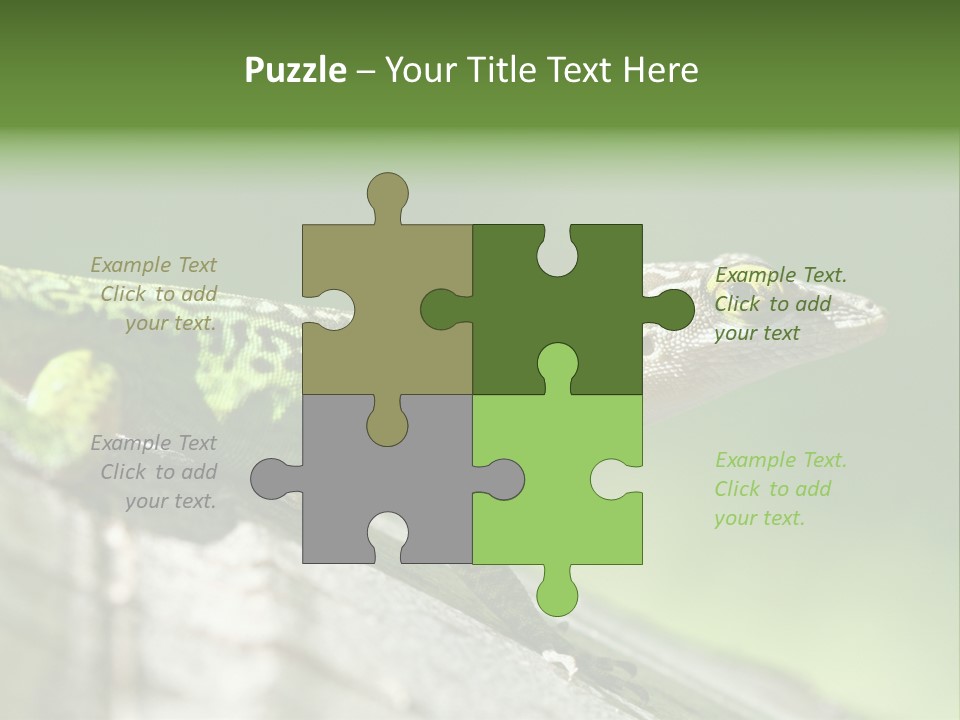 Wild Pet Pattern PowerPoint Template