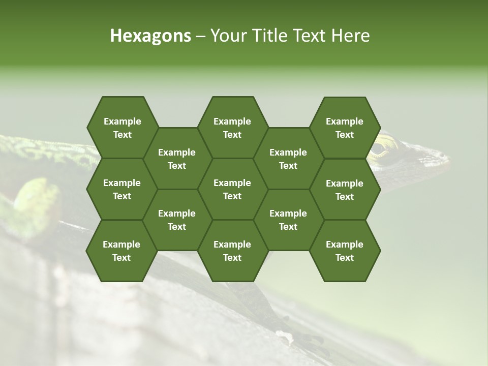 Wild Pet Pattern PowerPoint Template