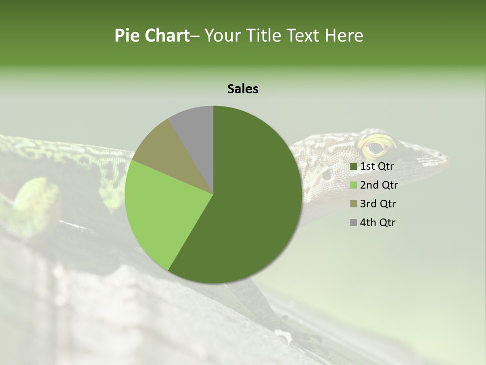 Wild Pet Pattern PowerPoint Template