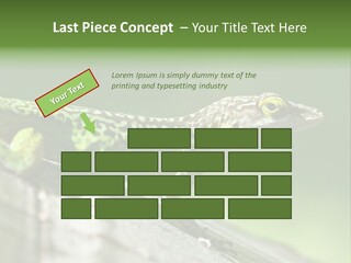 Wild Pet Pattern PowerPoint Template