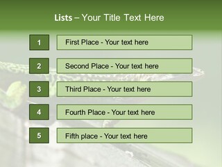 Wild Pet Pattern PowerPoint Template
