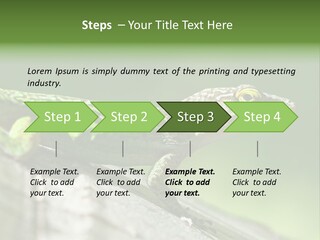 Wild Pet Pattern PowerPoint Template