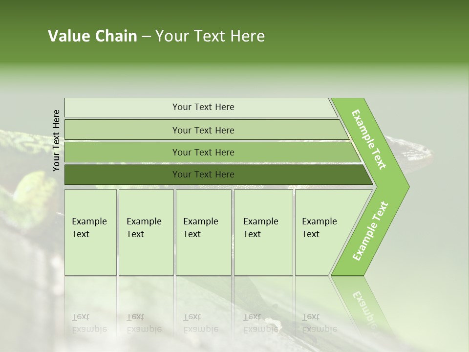Wild Pet Pattern PowerPoint Template
