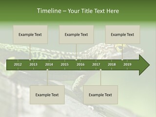 Wild Pet Pattern PowerPoint Template