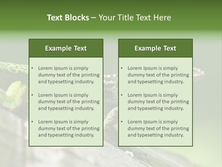 Wild Pet Pattern PowerPoint Template