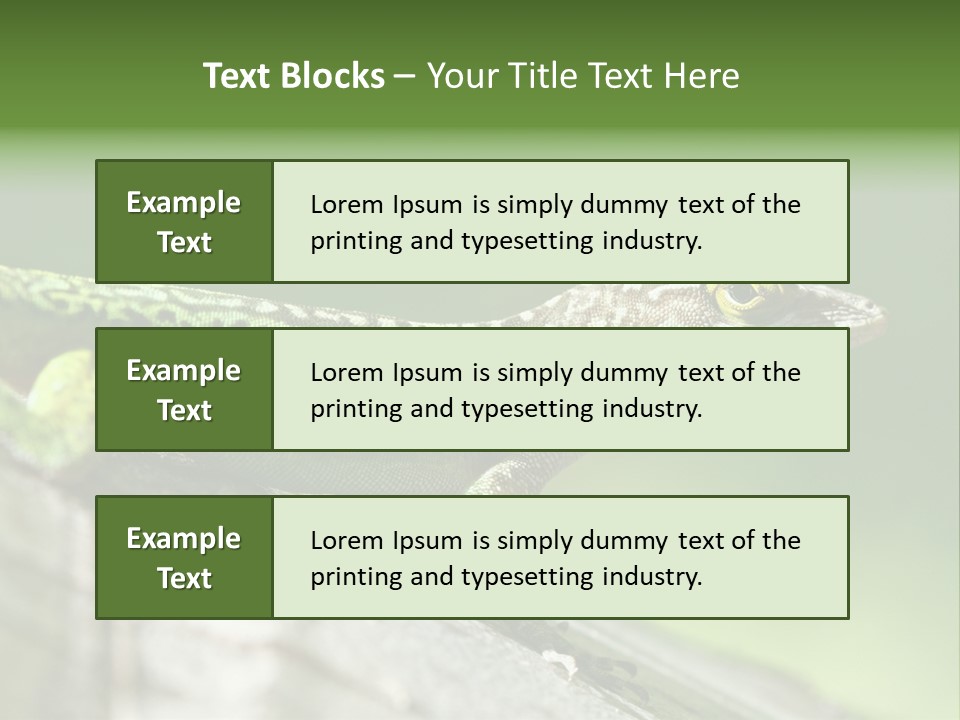 Wild Pet Pattern PowerPoint Template