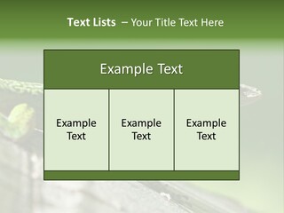 Wild Pet Pattern PowerPoint Template