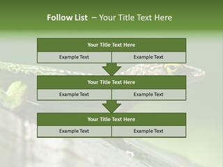 Wild Pet Pattern PowerPoint Template