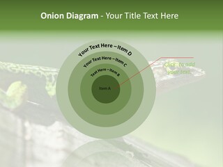 Wild Pet Pattern PowerPoint Template