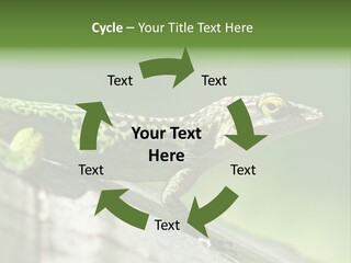 Wild Pet Pattern PowerPoint Template