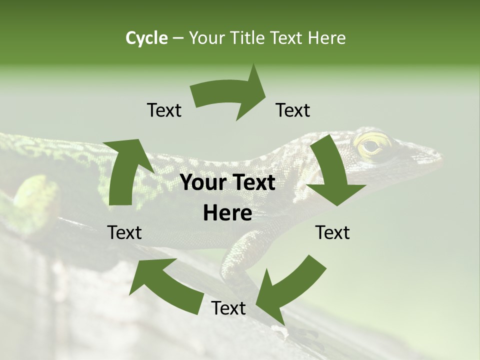 Wild Pet Pattern PowerPoint Template