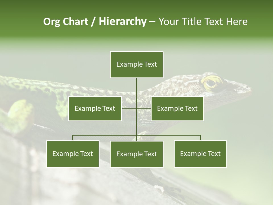 Wild Pet Pattern PowerPoint Template