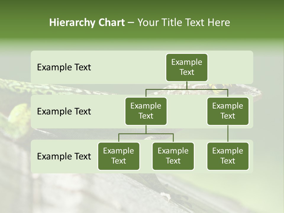 Wild Pet Pattern PowerPoint Template