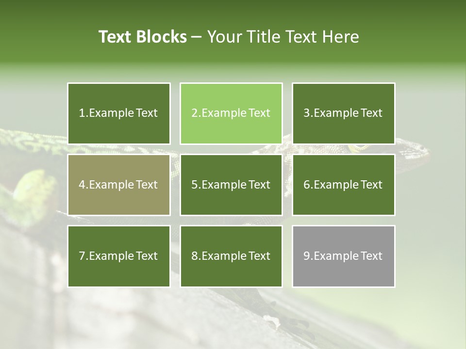 Wild Pet Pattern PowerPoint Template