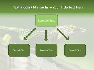 Wild Pet Pattern PowerPoint Template