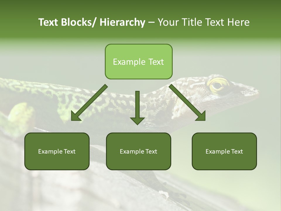 Wild Pet Pattern PowerPoint Template