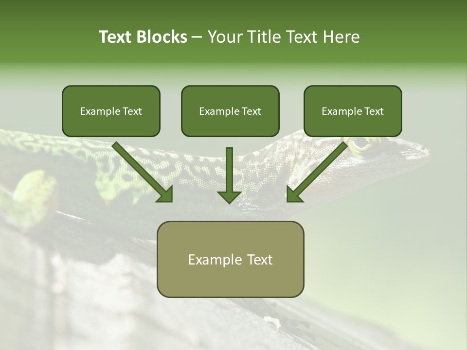 Wild Pet Pattern PowerPoint Template