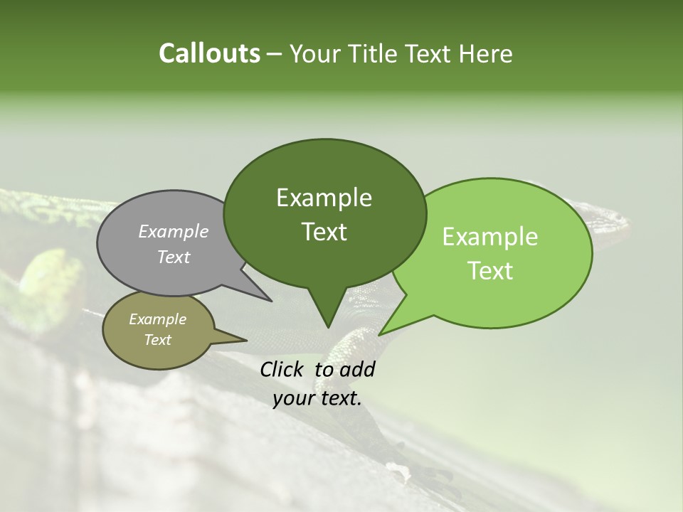 Wild Pet Pattern PowerPoint Template