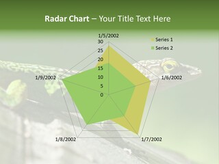 Wild Pet Pattern PowerPoint Template